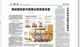 棉花期货最新爆料,揭秘价格波动背后的秘密